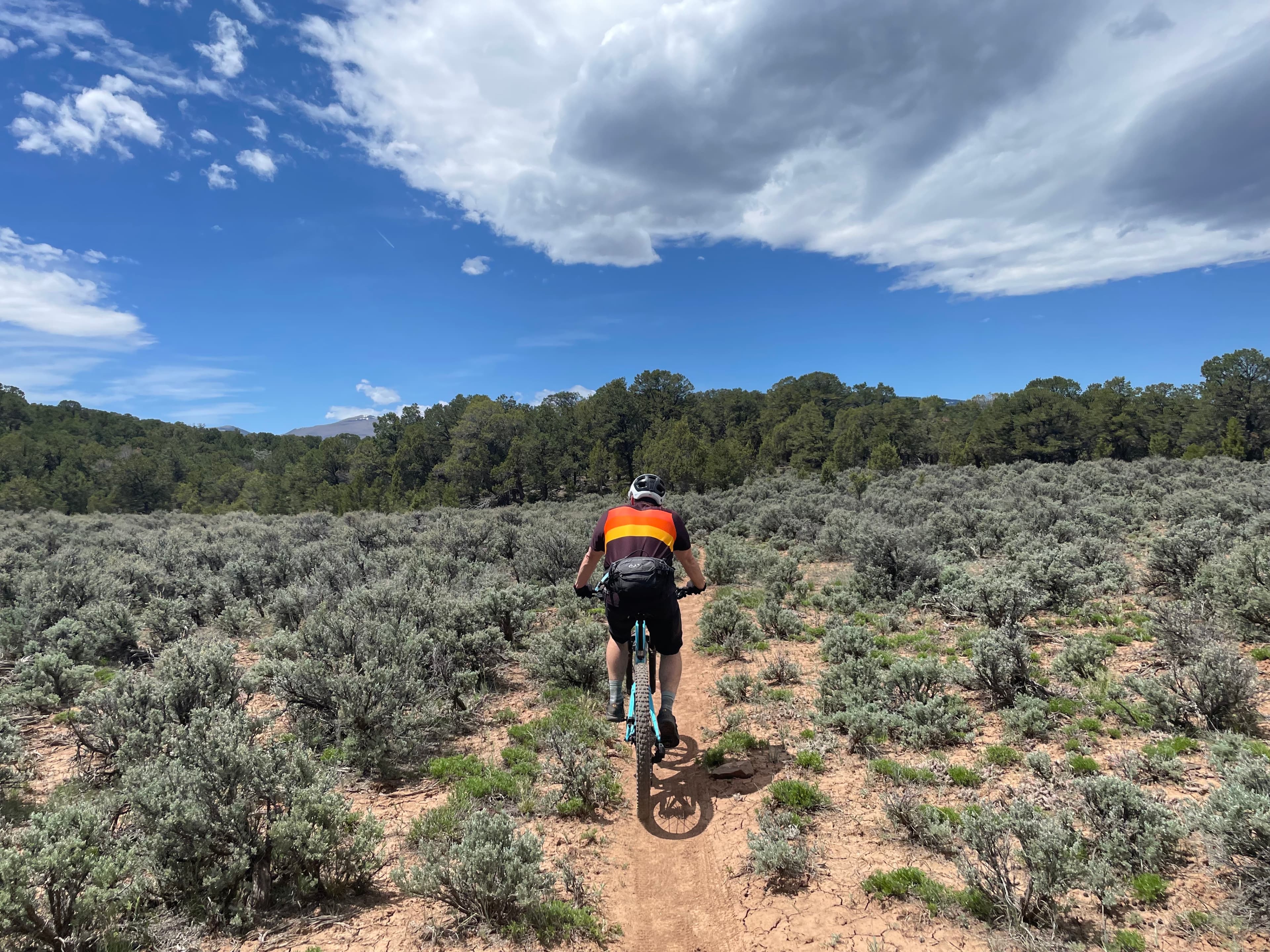 Mountain biking at Red Hill.