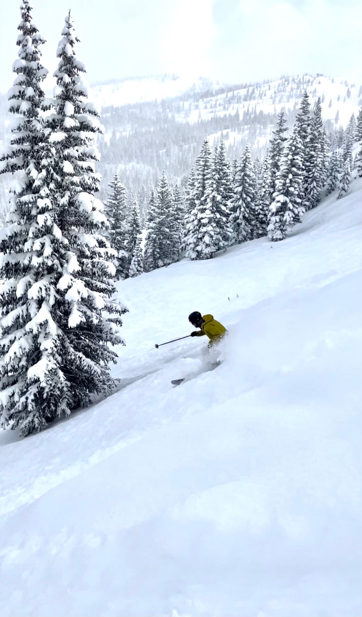 Powder skiing in Snowmass.